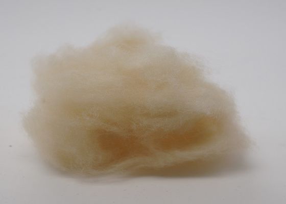 2.5Dx51mm Hoge Elastische niet Geweven Stoffenpolyester voor Automobielbinnenland