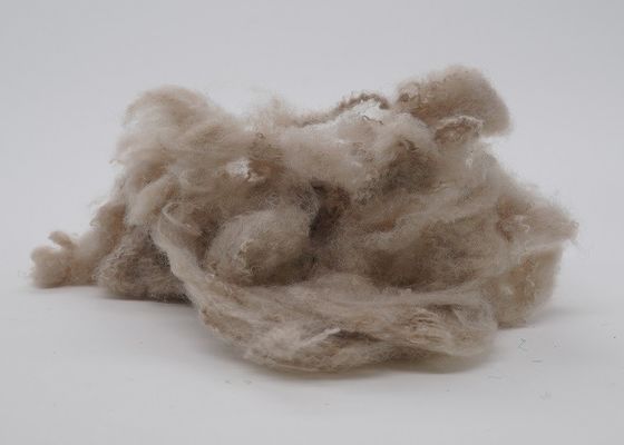 2.5Dx51mm Hoge Elastische niet Geweven Stoffenpolyester voor Automobielbinnenland