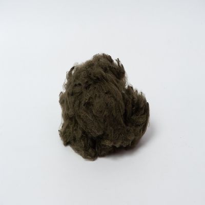 De hoge Hardnekkigheid hakte Geregenereerde Polyestervezel 6D 51mm Vriendschappelijke Eco