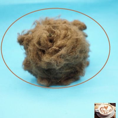 Maagdelijke de Koffiekleur van de Rangverdovend middel Geverfte Polyester voor het Spinnen